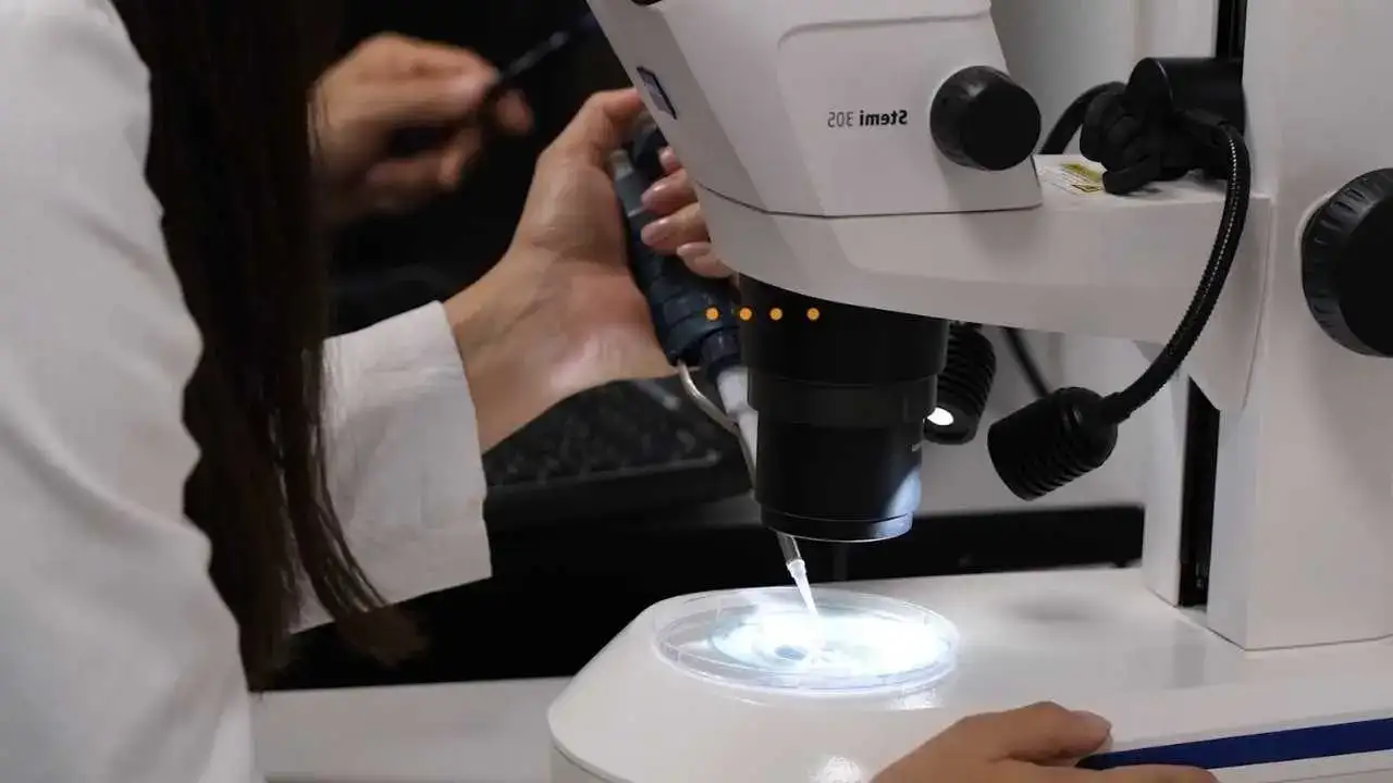 Akdeniz Üniversitesi’nin Yükselişine YÖK Raporuyla Tescil! 9